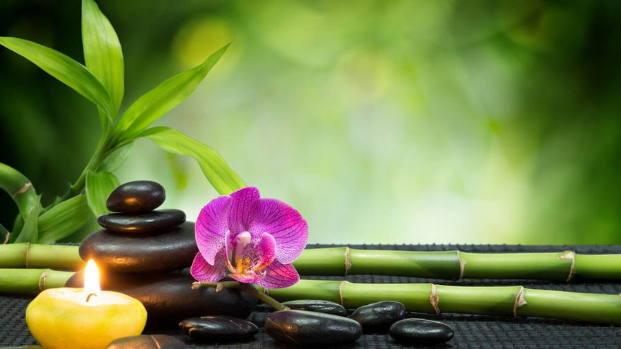 Bamboo 4k Massage Wellness Set Wallpaper