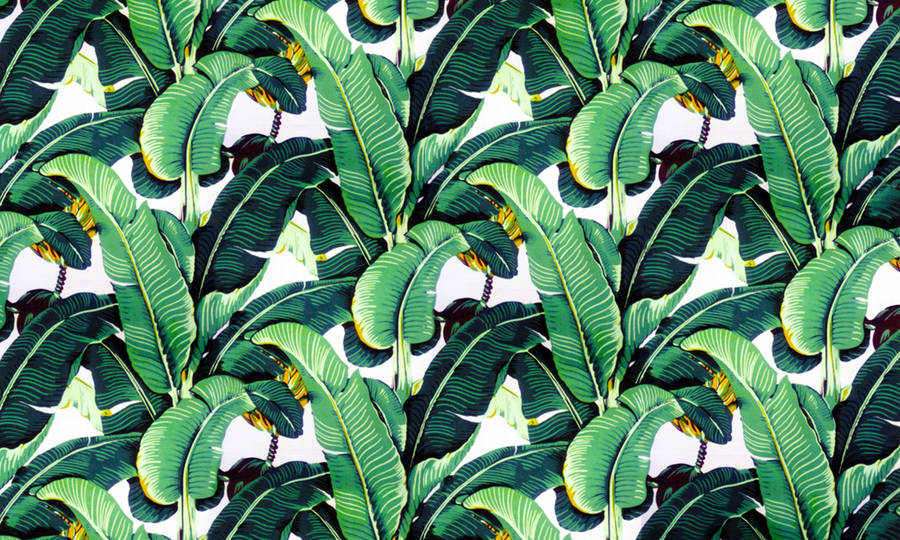 Banana Leaf Digital Mural Wallpaper