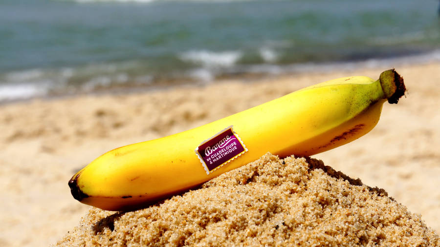 Banana On Sand Wallpaper