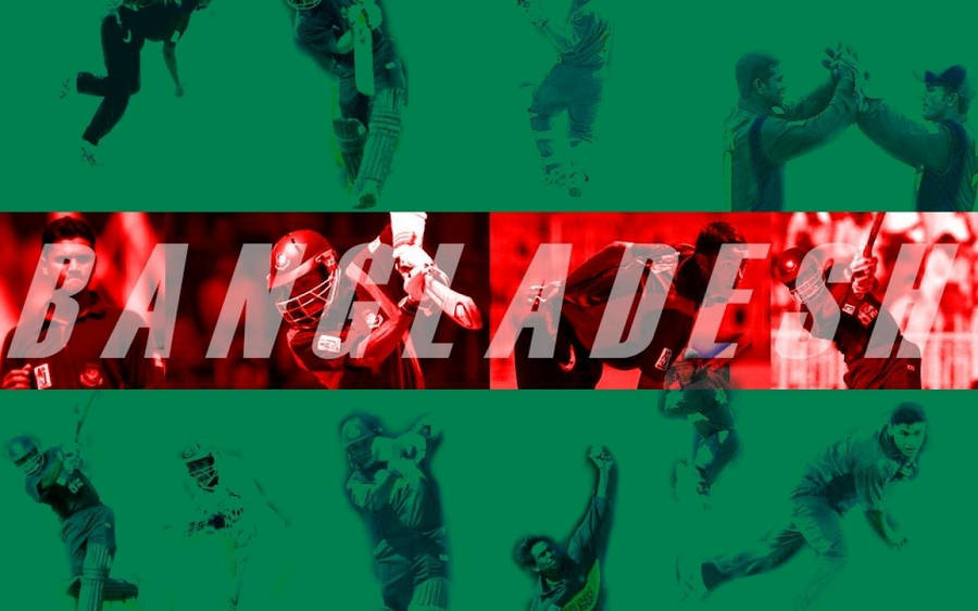 Bangladesh Cricket Team Logo Wallpaper