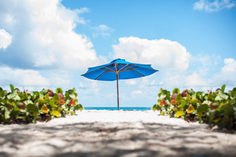 Barbados Beach Umbrella Wallpaper