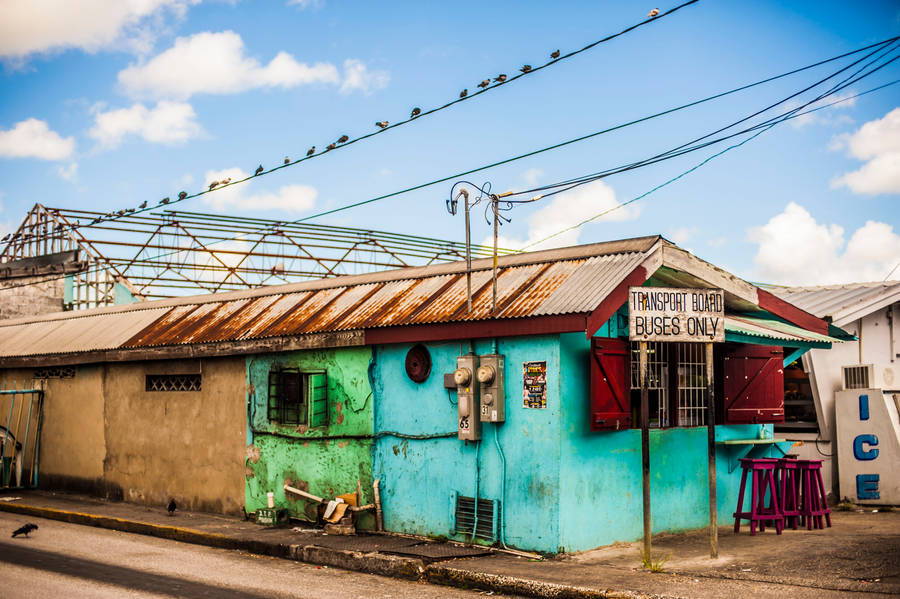 Barbados Waiting Area Wallpaper