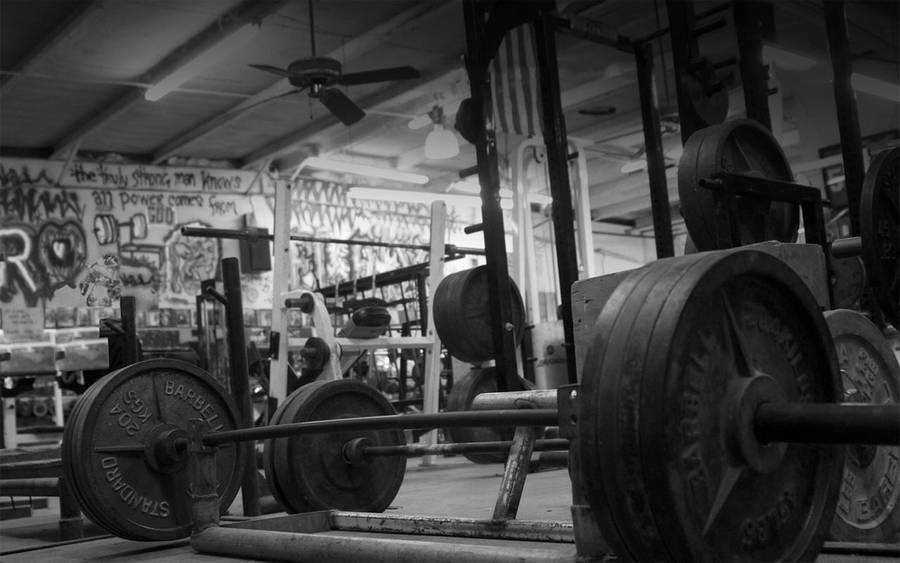 Barbells In Urban Gym Wallpaper