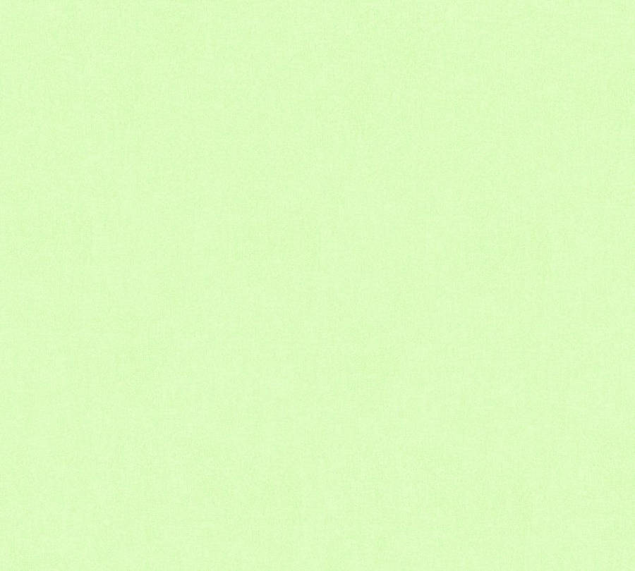 Bare Light Green Plain Wallpaper