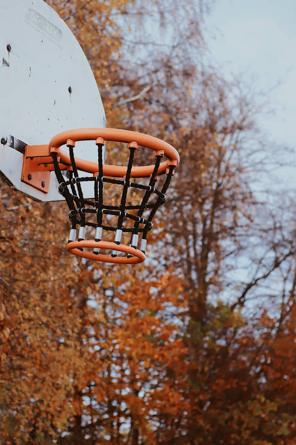 Basketball Hoop Autumn Trees Wallpaper