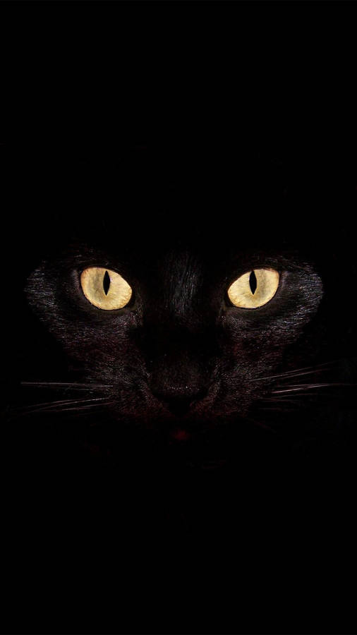 Be Afraid... Be Very Afraid Wallpaper