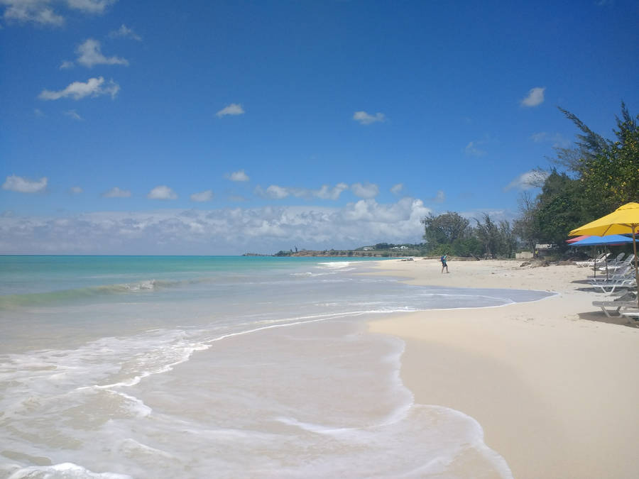 Beach In Antigua And Barbuda Wallpaper