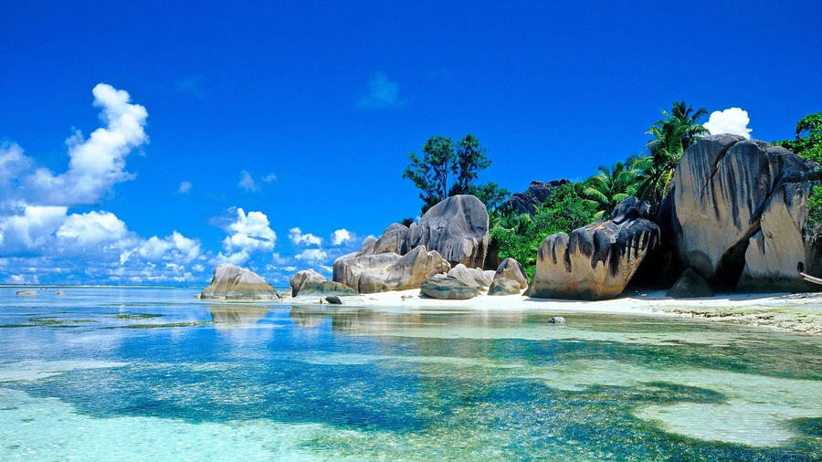 Beach In Seychelles Screen Saver Wallpaper