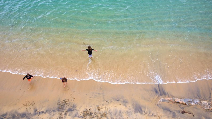 Beach Shore In Cannery Row Wallpaper