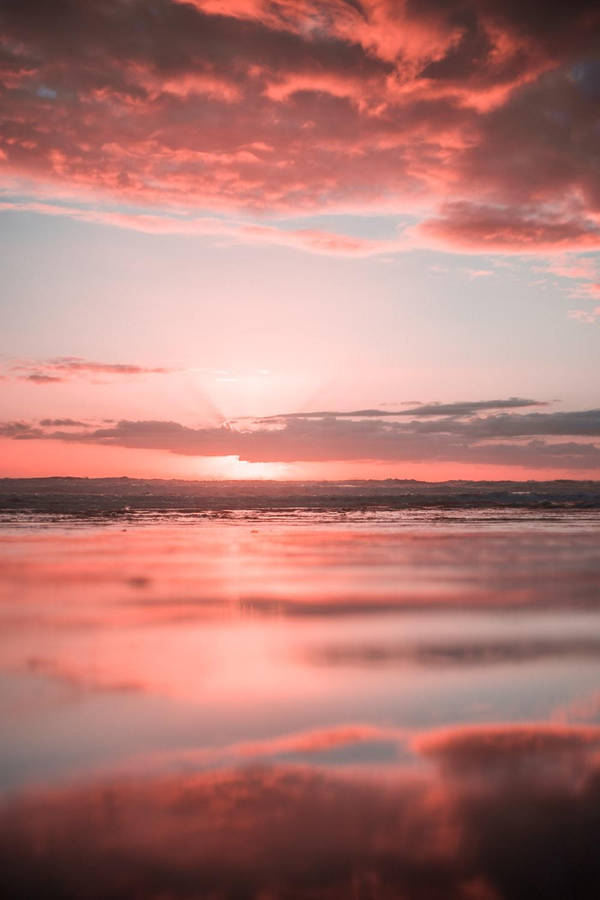 Beachfront Pink Sunset Wallpaper