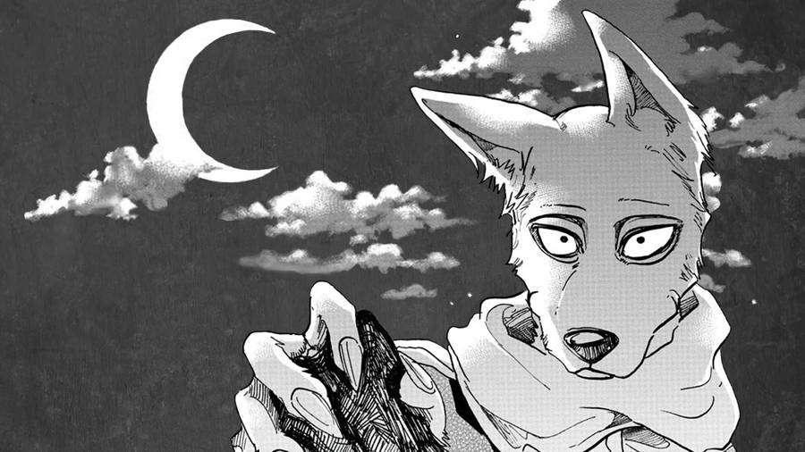 Beastars Shaved Legosi Wallpaper