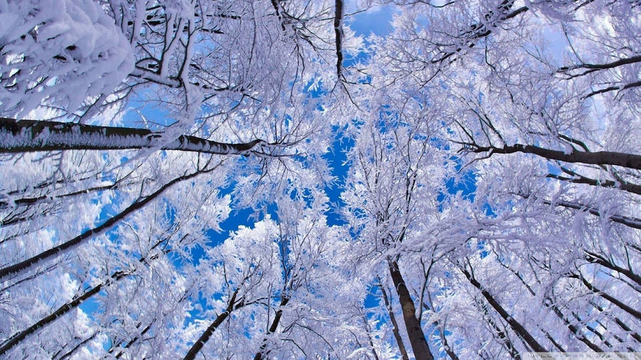 Beautiful 1920x1080 Winter Desktop Background Wallpaper