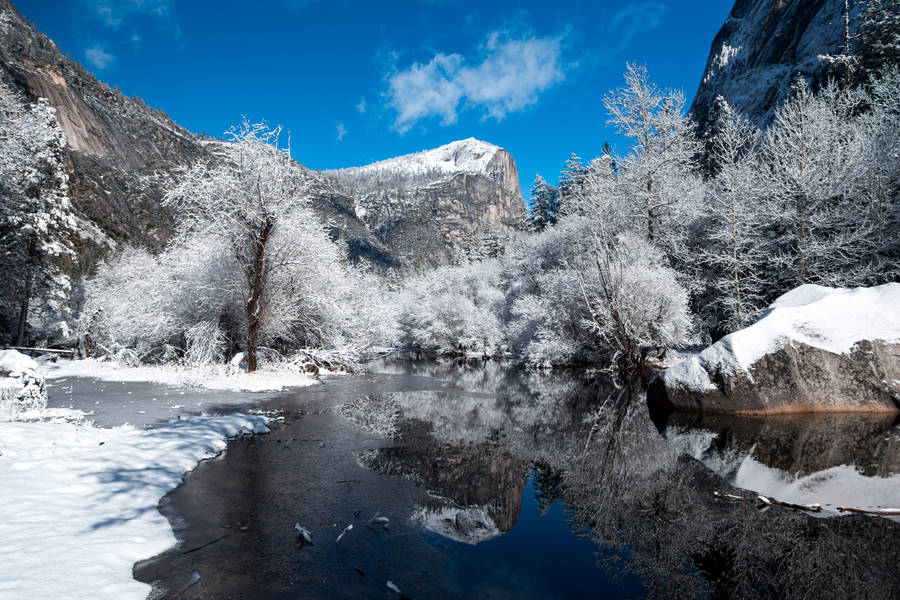 Beautiful Blue Sky In Winter Wallpaper