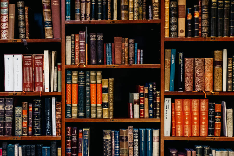 Beautiful Books In A Library Wallpaper