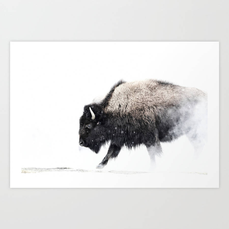 Beautiful Buffalo Painting Wallpaper