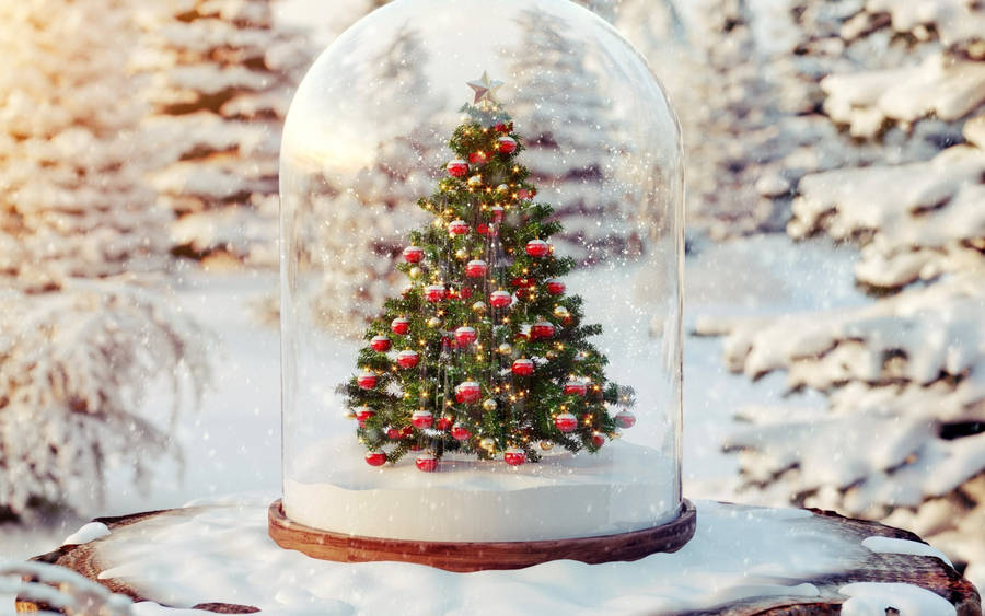 Beautiful Christmas Snow Globe Wallpaper