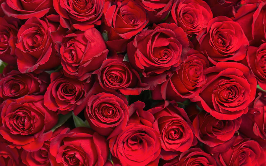 Beautiful Flower Bouquet Of Red Roses Wallpaper