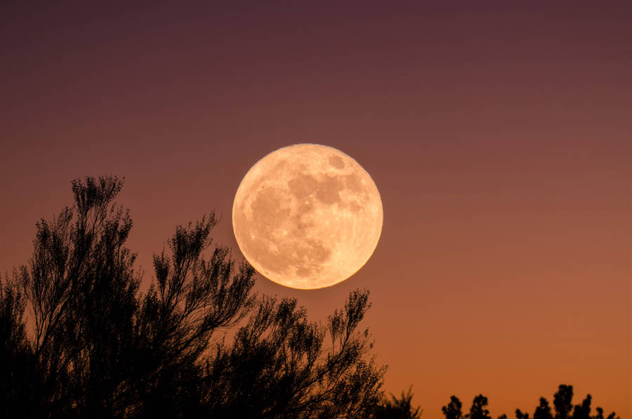 Beautiful Full Moon Pink-orange Sky Wallpaper