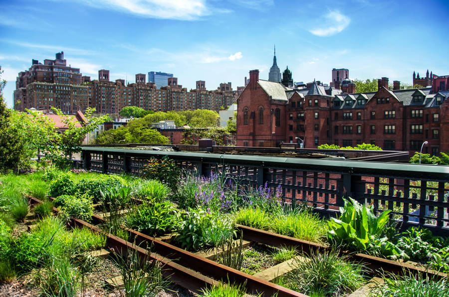 Beautiful Green Grass The High Line Wallpaper