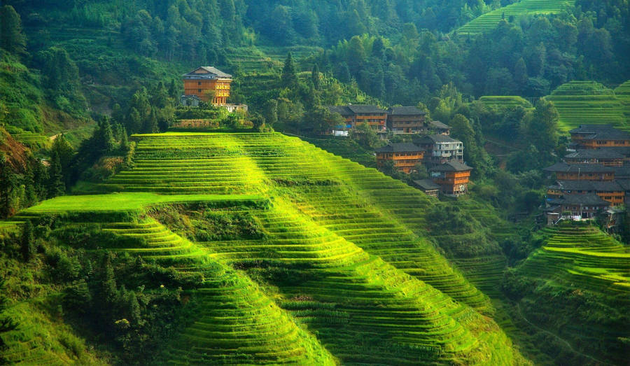 Beautiful Greenery In Kodai Green Valley Wallpaper