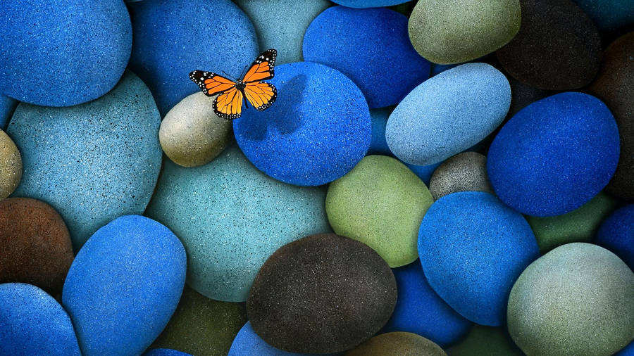 Beautiful Hd Butterfly And Colorful Stones Wallpaper