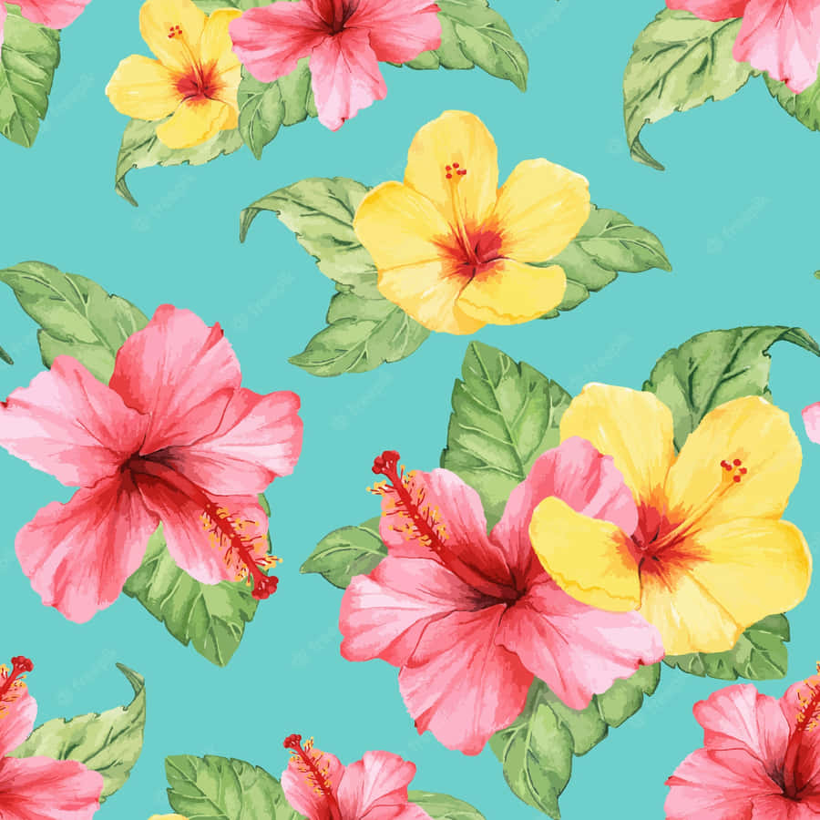 Beautiful Illustration Of Hibiscus Flowers Wallpaper