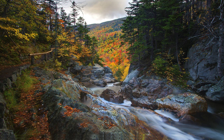 Beautiful Landscape Flowing River Wallpaper