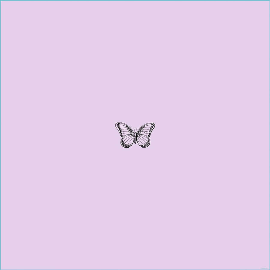 Beautiful Lilac Color Wallpaper