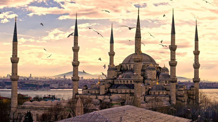 Beautiful Mosque Birds Wallpaper