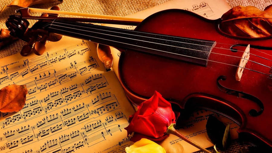 Beautiful Music Violin And Rose Wallpaper