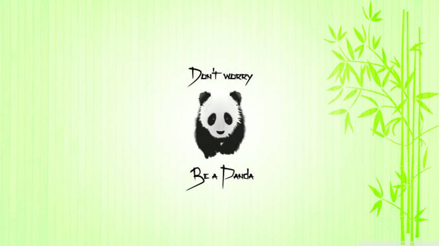 Beautiful Panda With Green Bamboo Wallpaper
