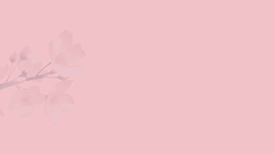 Beautiful Pink Flower Wallpaper