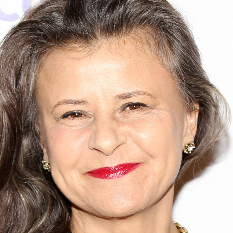 Beautiful Portrait Of Tracey Ullman Wallpaper