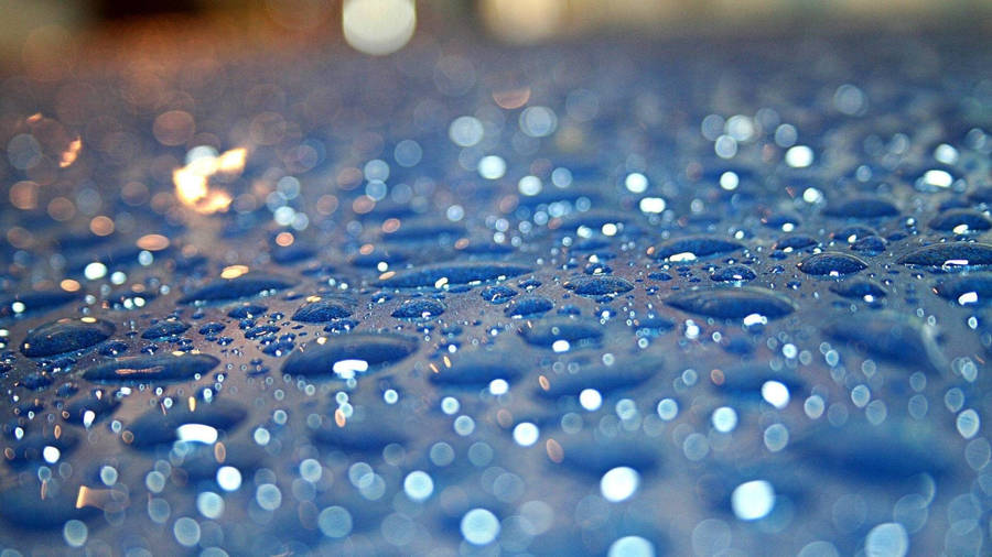 Beautiful Rain Droplets On A Surface Wallpaper