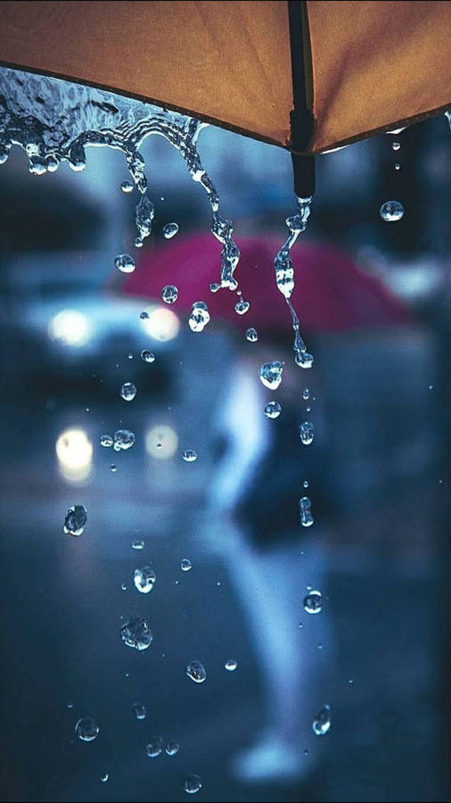 Beautiful Rain From The Umbrella Wallpaper