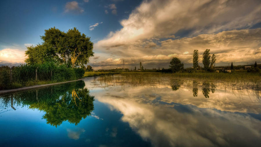 Beautiful Scenery Rice Field Wallpaper