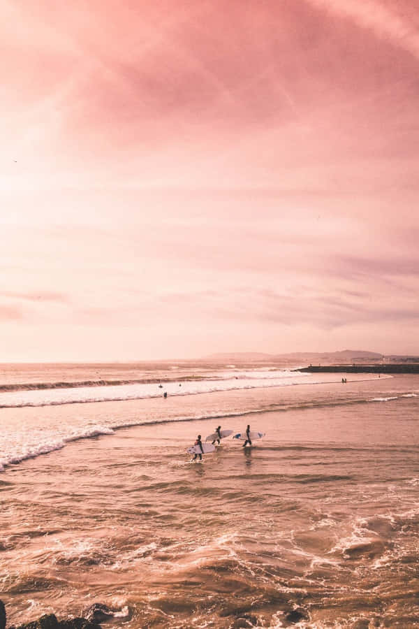 Beautiful Summer Pink Sunset Wallpaper