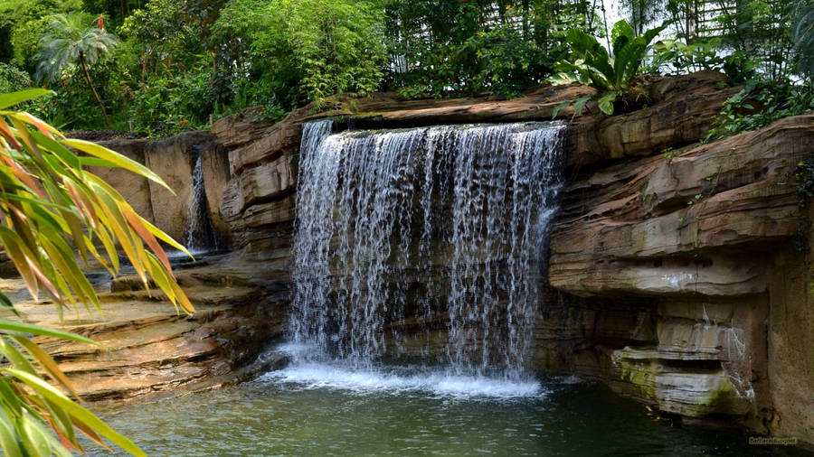 Beautiful Waterfall Botanical Garden Wallpaper