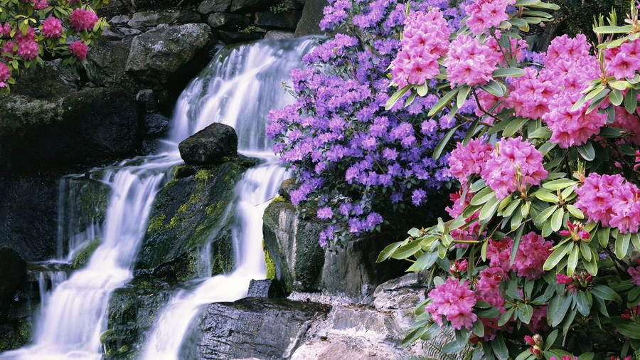 Beautiful Waterfall Pink And Purple Flowers Wallpaper