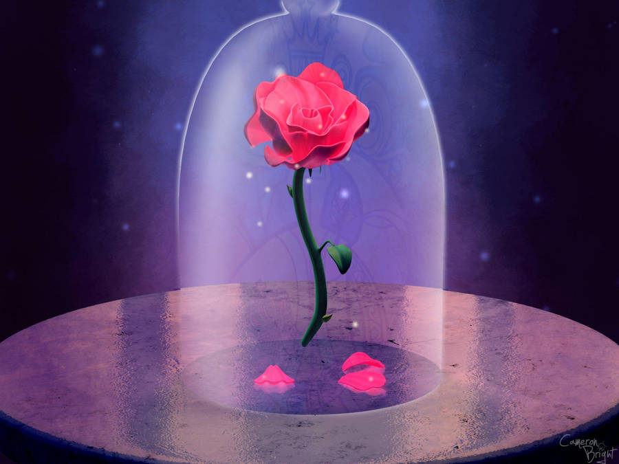 Beauty And The Beast Rose Digital Art Wallpaper