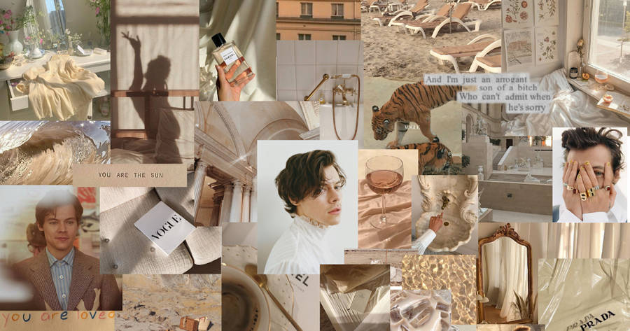 Beige Aesthetic Harry Styles Collage Wallpaper