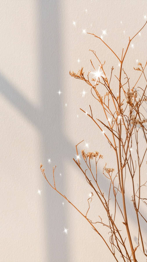 Beige Aesthetic Phone With Glittering Branch Wallpaper