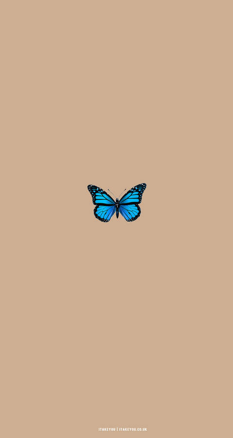 Beige Butterfly Aesthetic Wallpaper