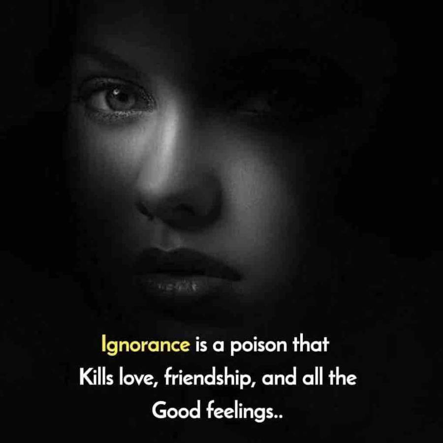 Being Ignorant Is A Poison Wallpaper