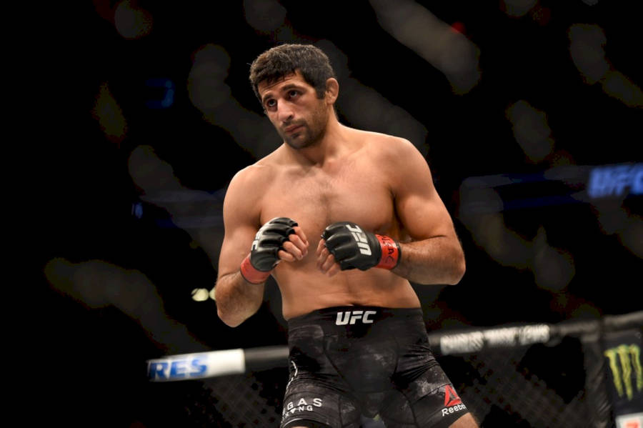 Beneil Dariush Ready To Fight Wallpaper