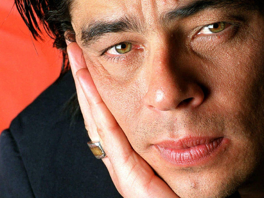 Benicio Del Toro - Close Up Portrait Wallpaper