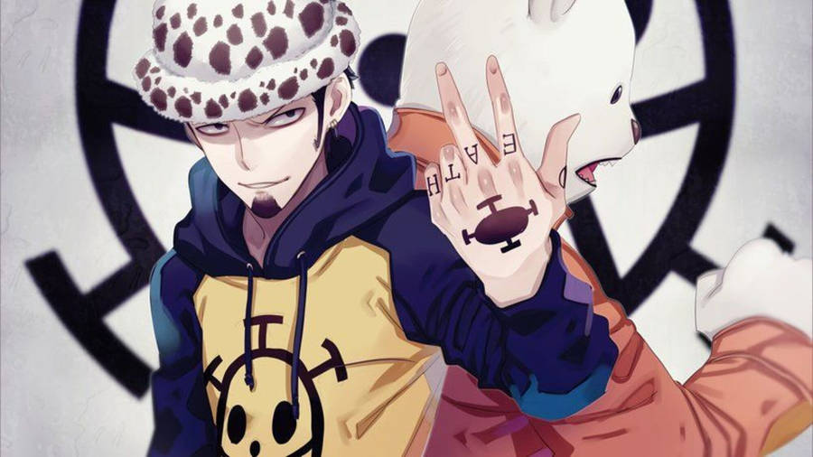 Bepo And Trafalgar Law Wallpaper