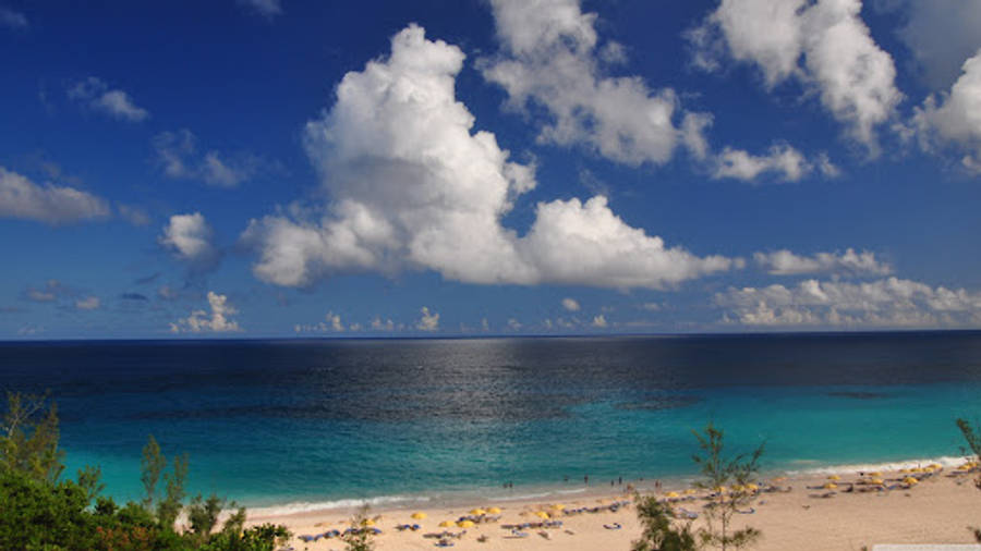 Bermuda Blue Beach Wallpaper