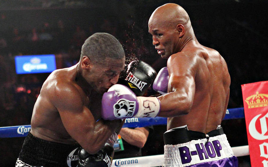 Bernard Hopkins Fighting Wallpaper