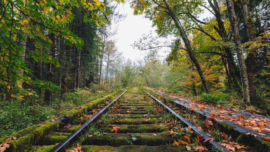 Best 4k Uhd Abandoned Railway Wallpaper